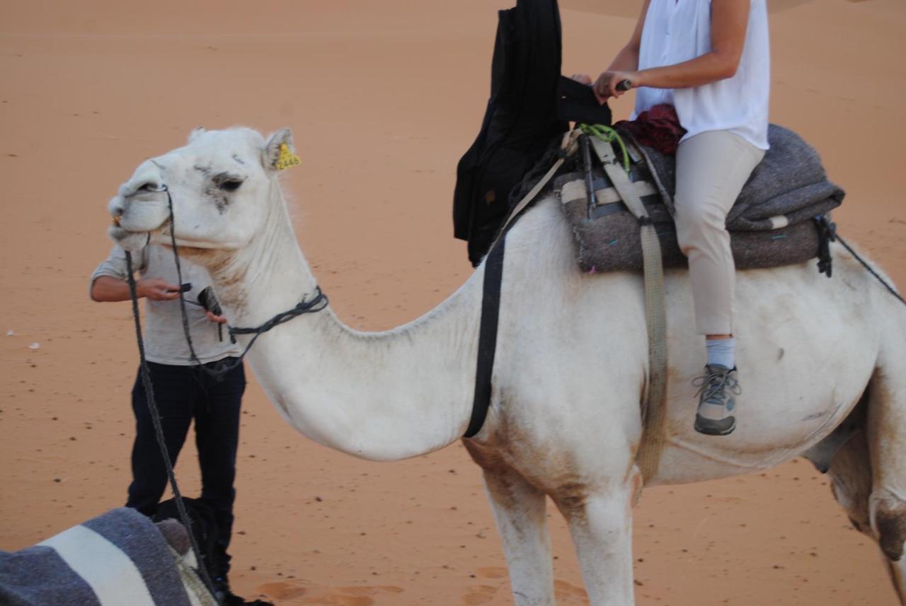 Desert Camel Trekking Camp Merzouga Zewnętrze zdjęcie